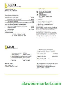 LECO Corporation electricity business bill, SCR